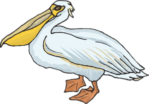 Standing Pelican Clip Art